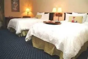 Hampton Inn Tampa-Rocky Point Hotel
